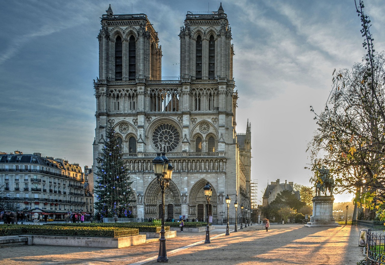 cathedral, notre dame, paris, morning light, christmas tree, christmasbackground, christmas, notre dame, notre dame, notre dame, notre dame, notre dame