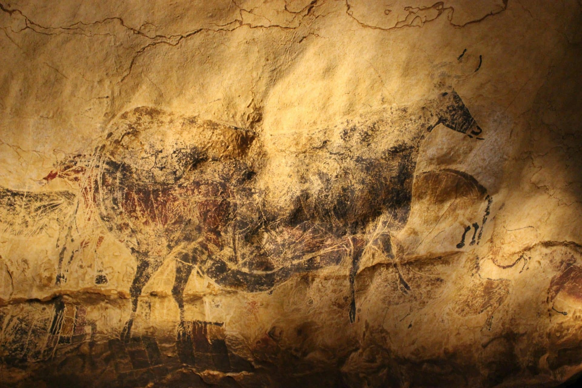 Explore the historic Lascaux cave painting, a UNESCO World Heritage site.